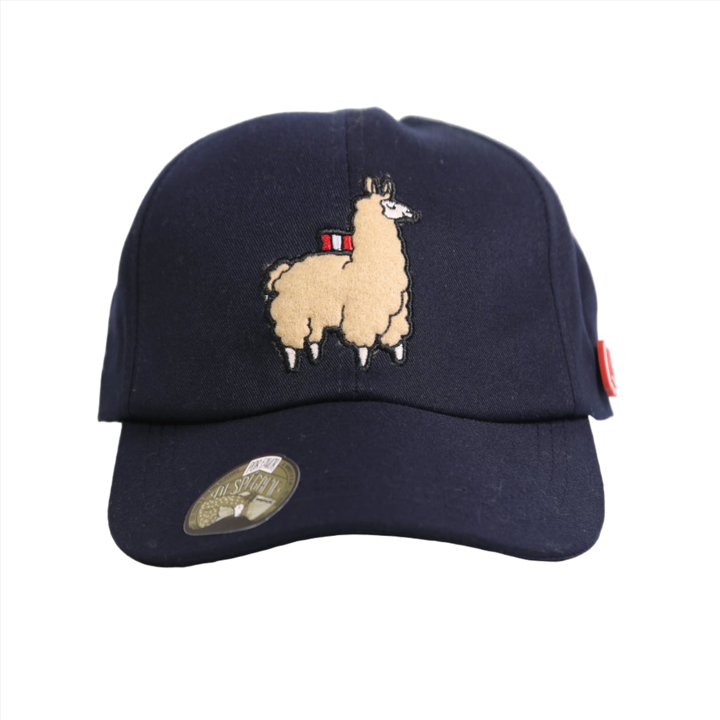 Gorra Ari azul