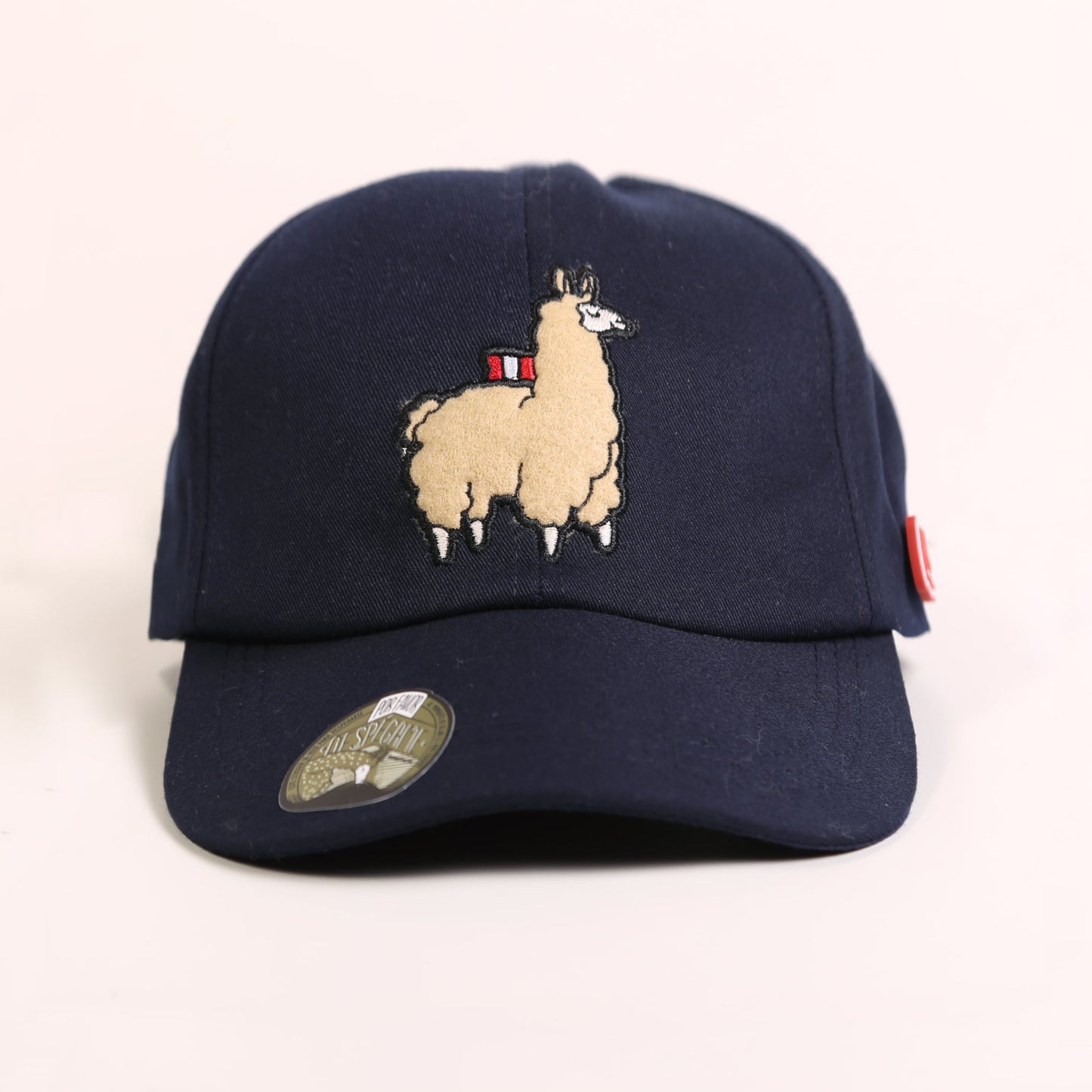 Gorra Ari azul marino