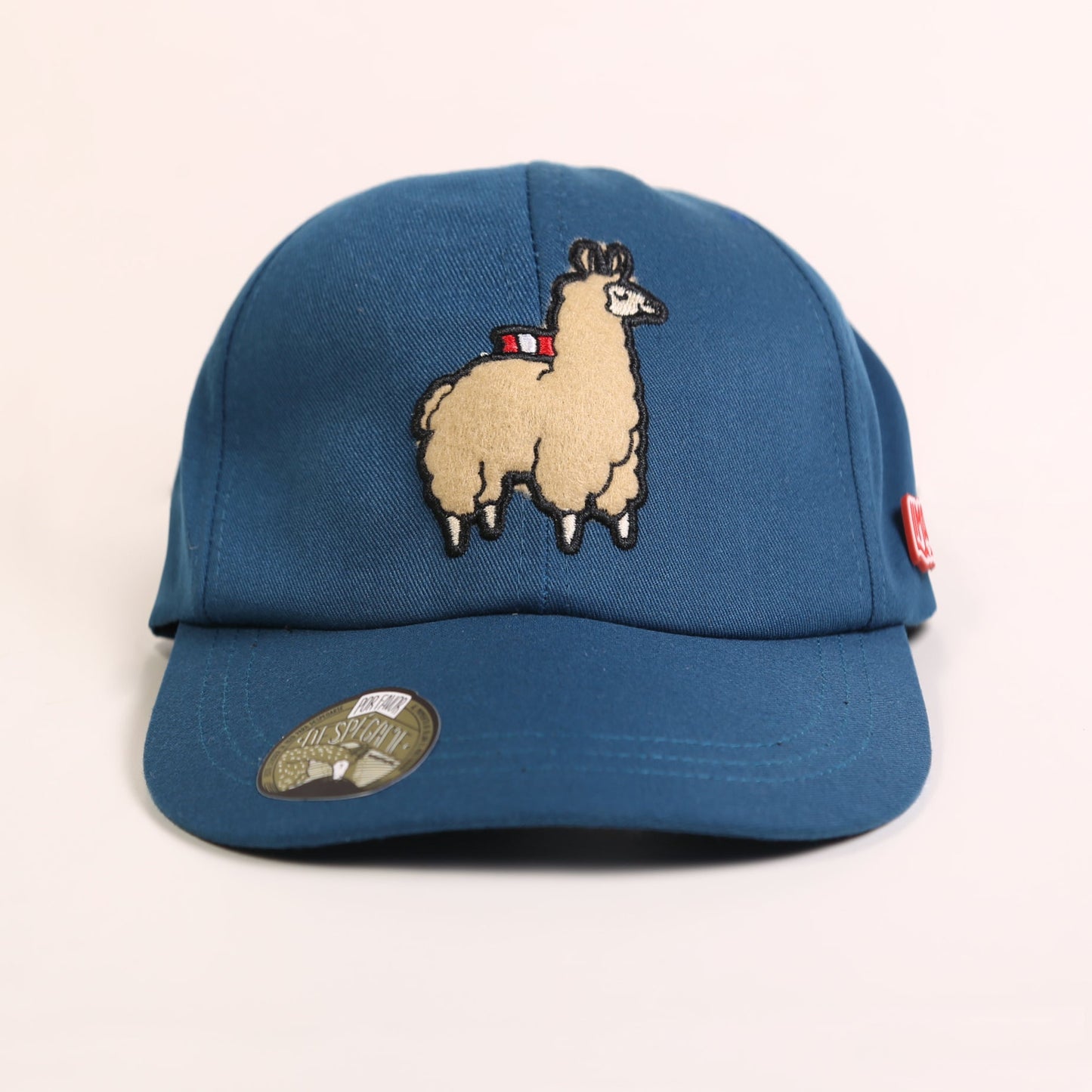 Gorra Ari azul marino