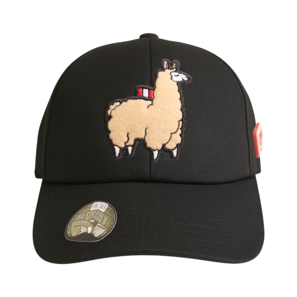 Gorra Ari negro