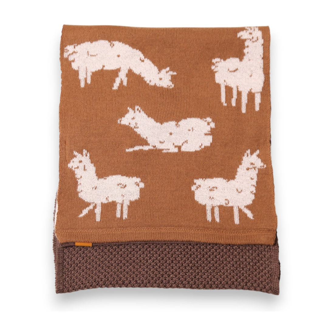 Bufanda alpaca Asiy zigzag