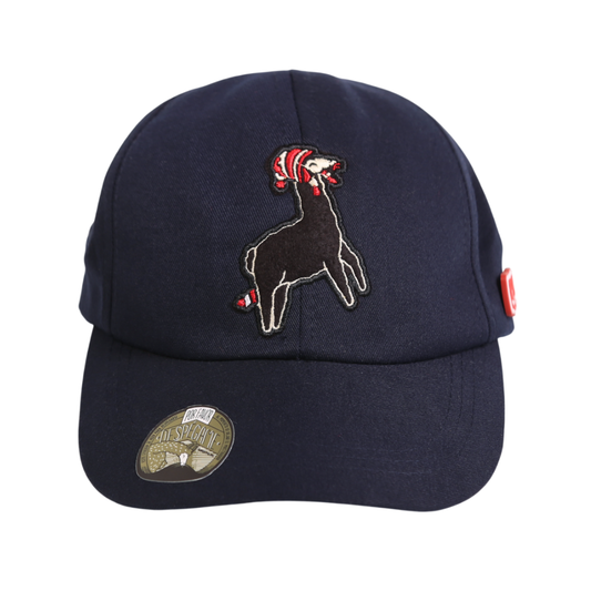Gorra Kusi