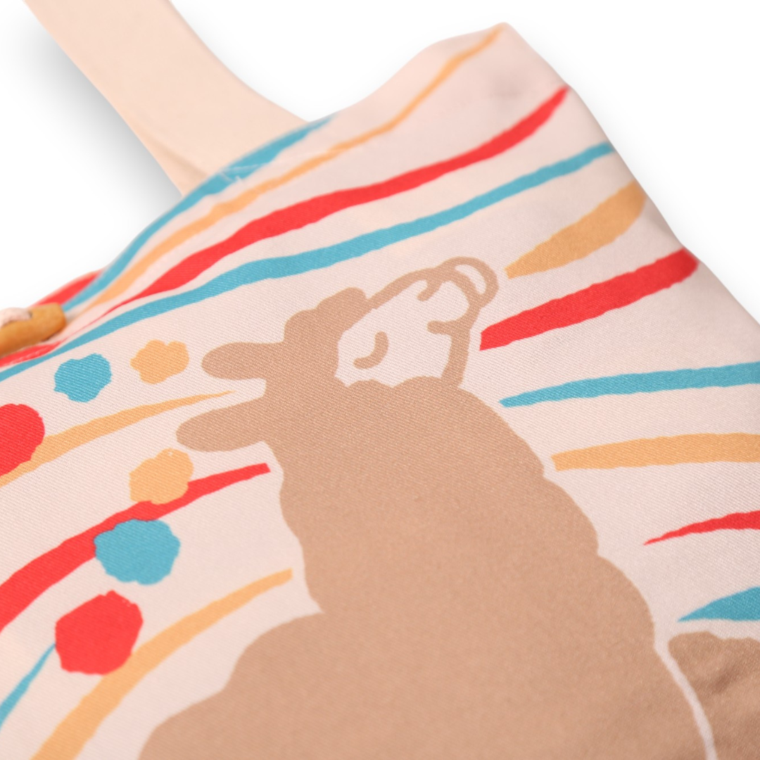 Cartera Ari colorinchi