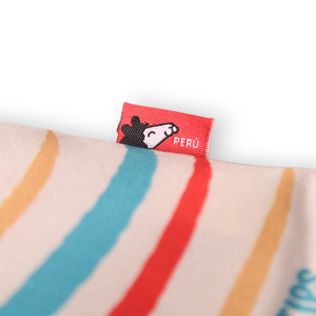 Cartera Ari colorinchi