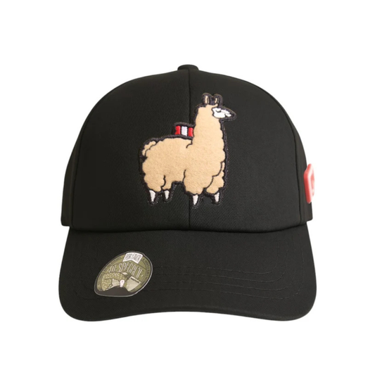 Gorra Ari negro
