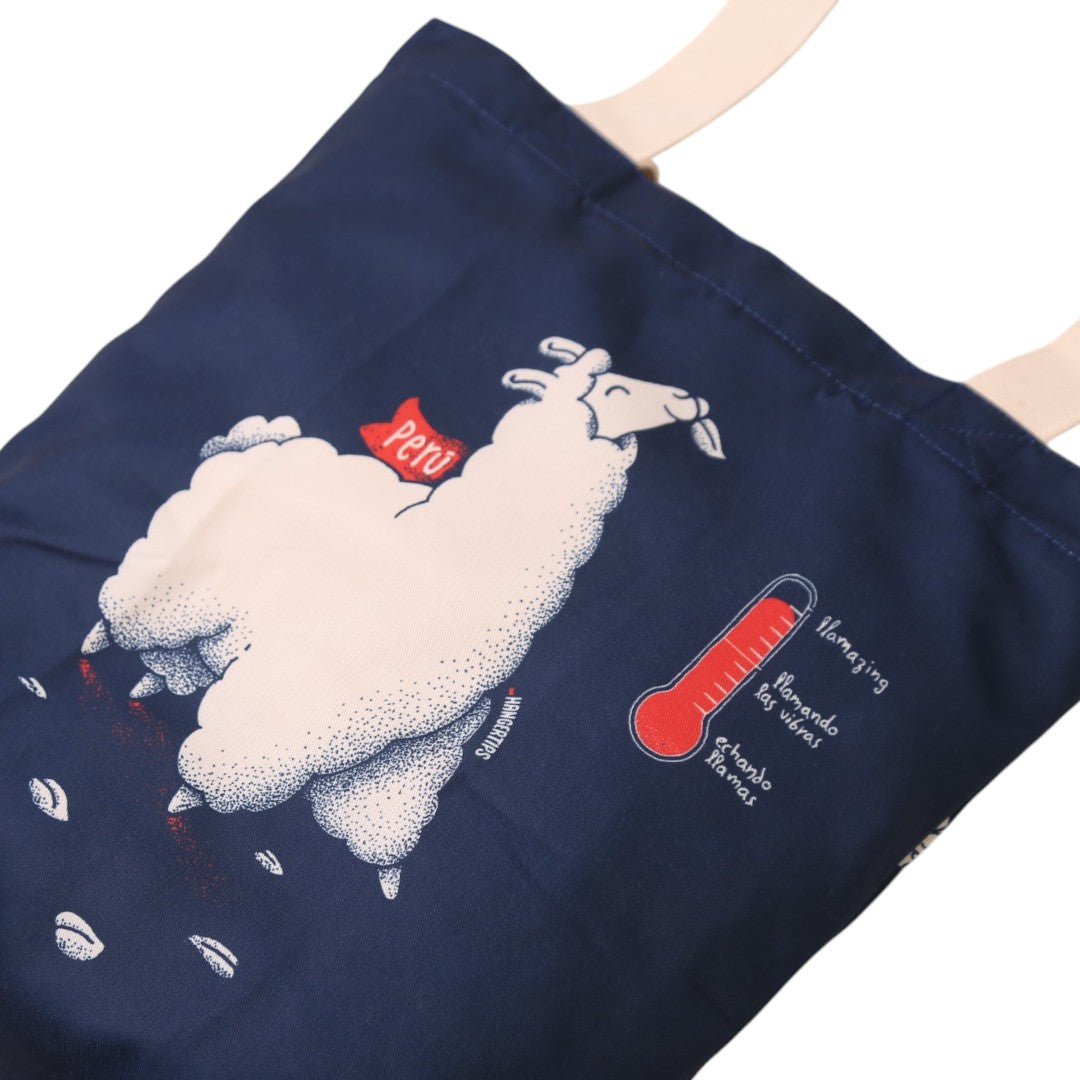 Cartera Ari