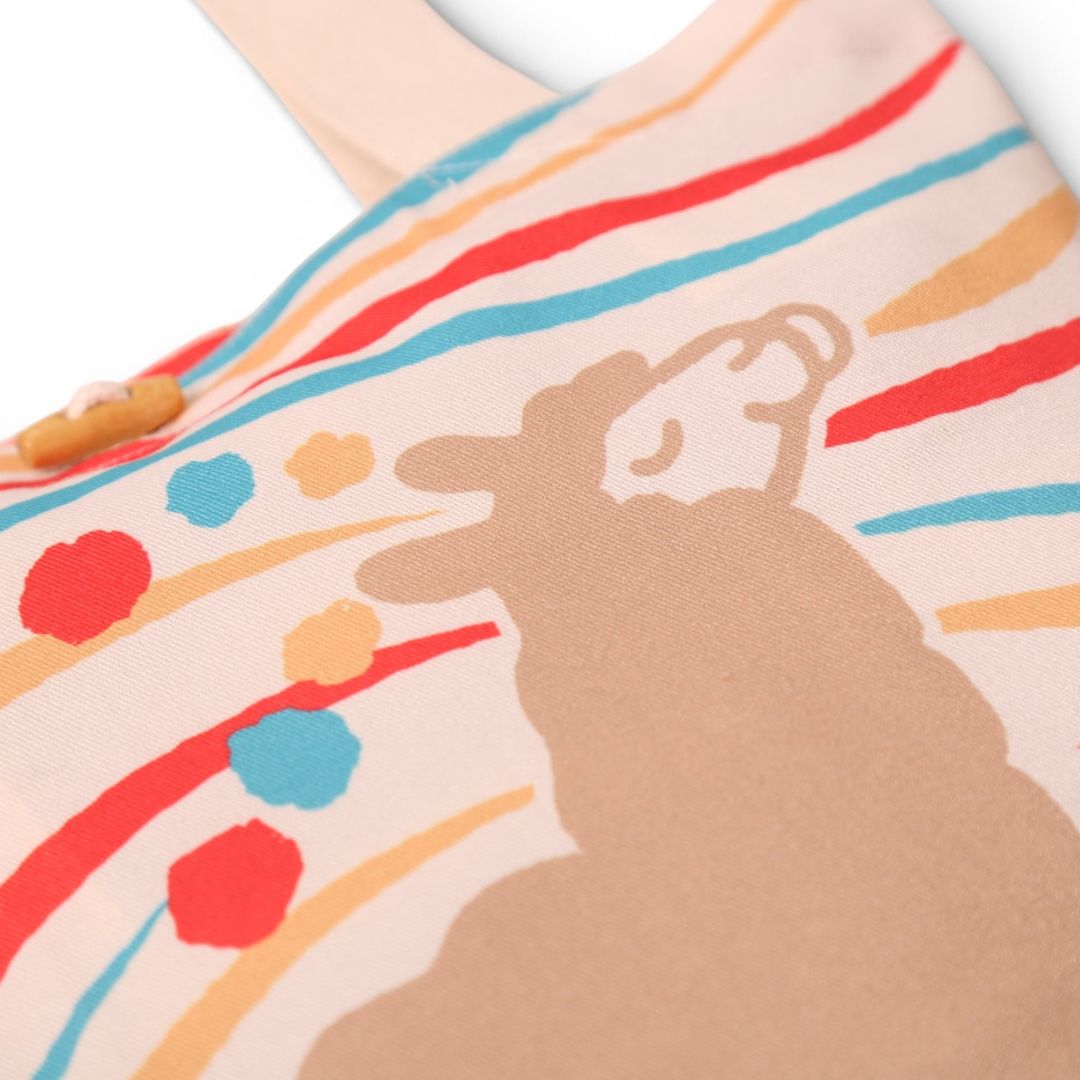 Cartera Ari colorinchi