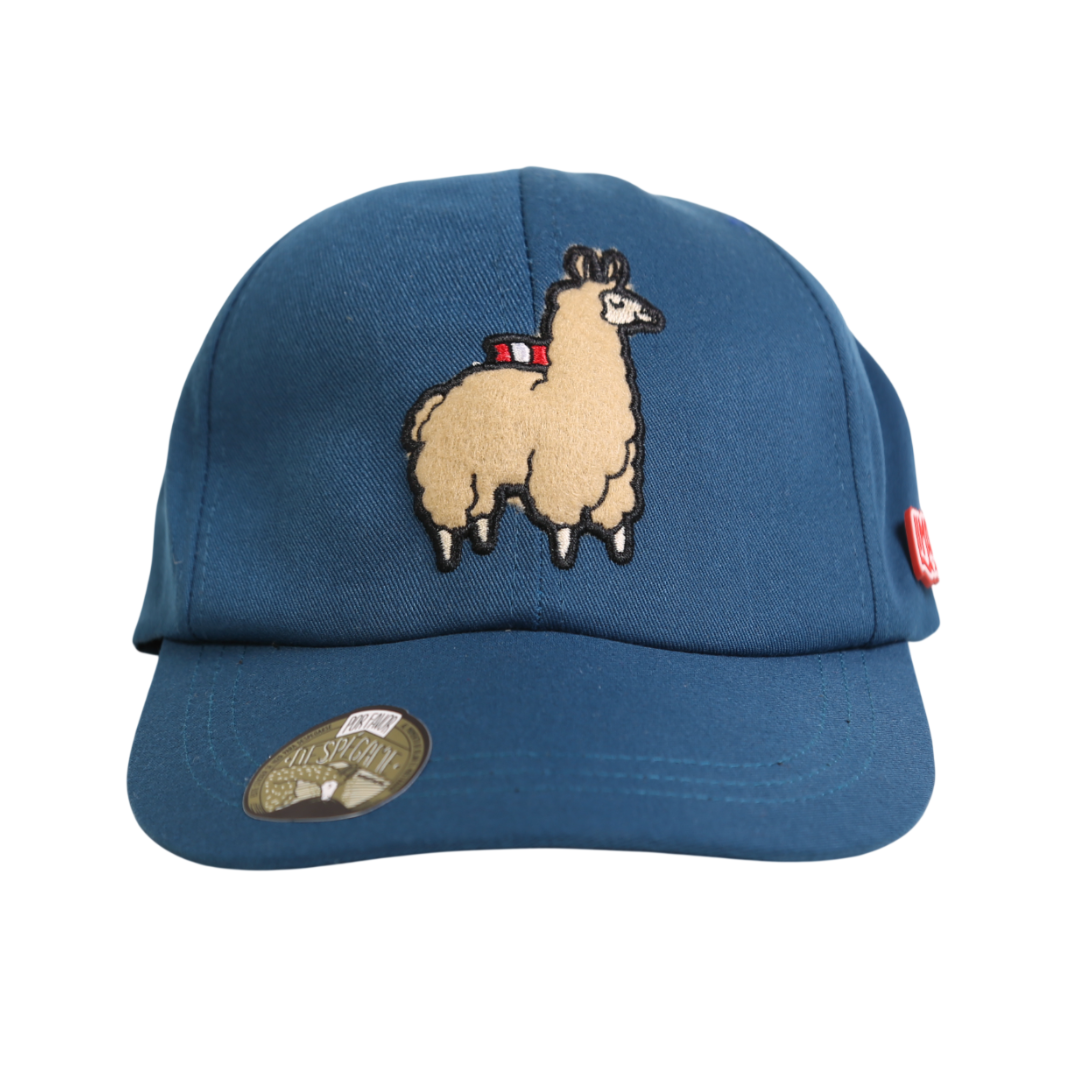 Gorra Ari