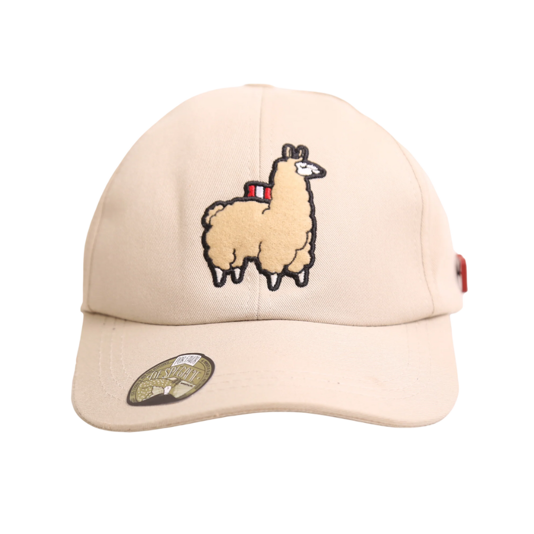 Gorra Ari