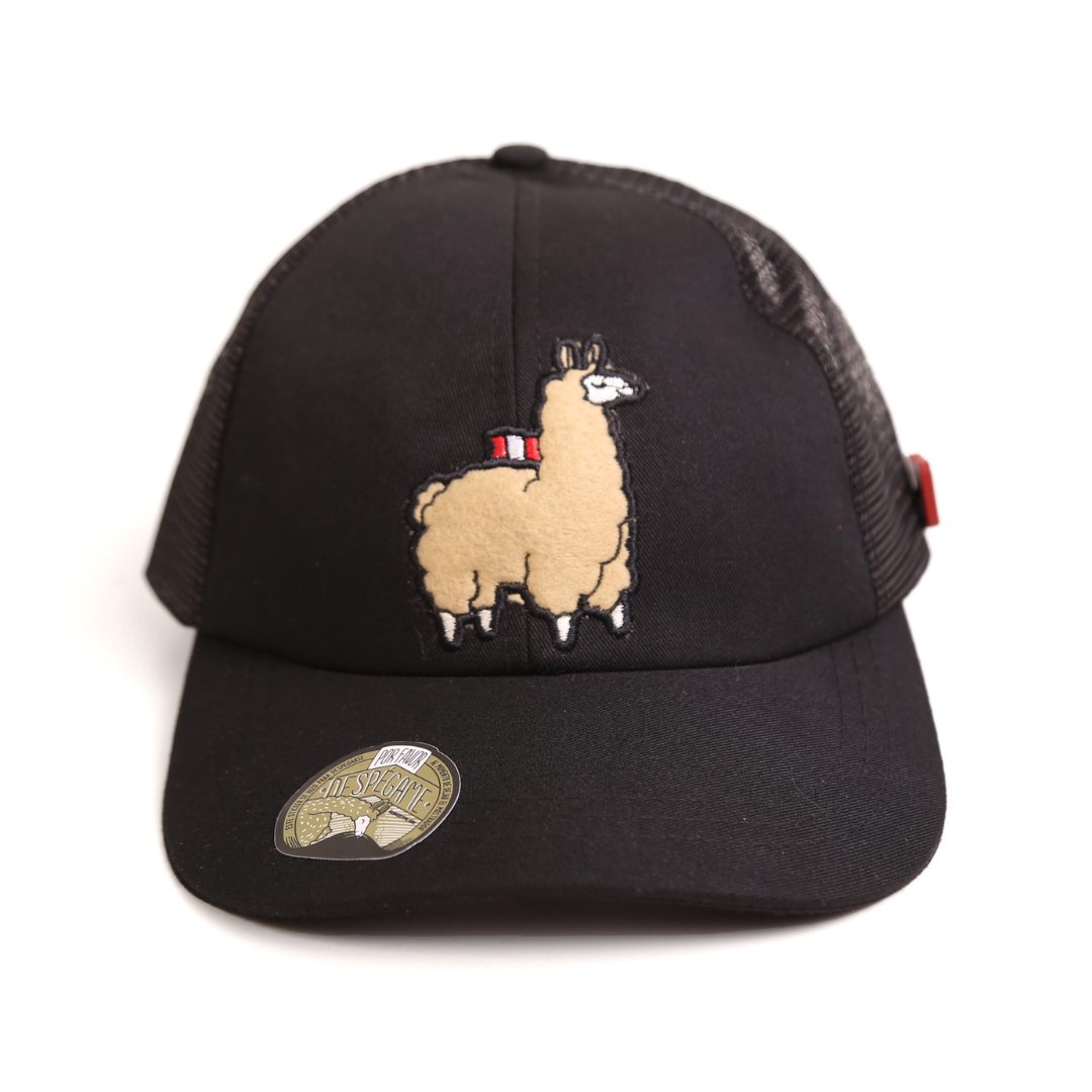 Gorra Ari negro malla
